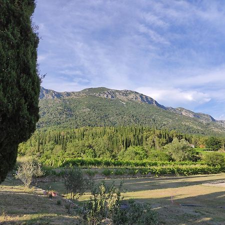 Country House Uros In Nature With Pool Lovorno Exterior foto